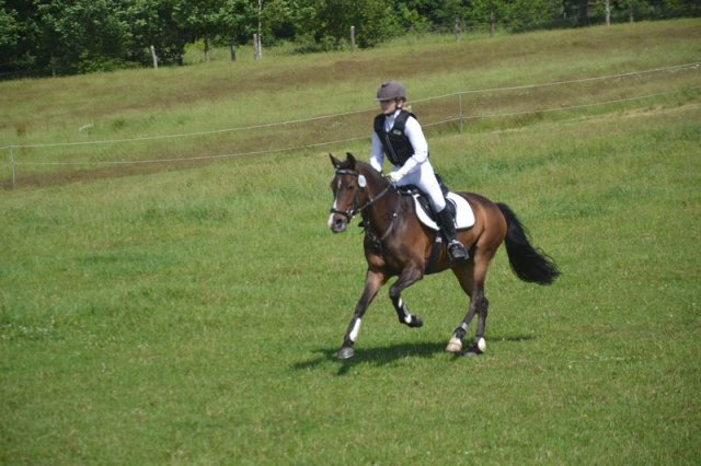 reitertag 2013 255